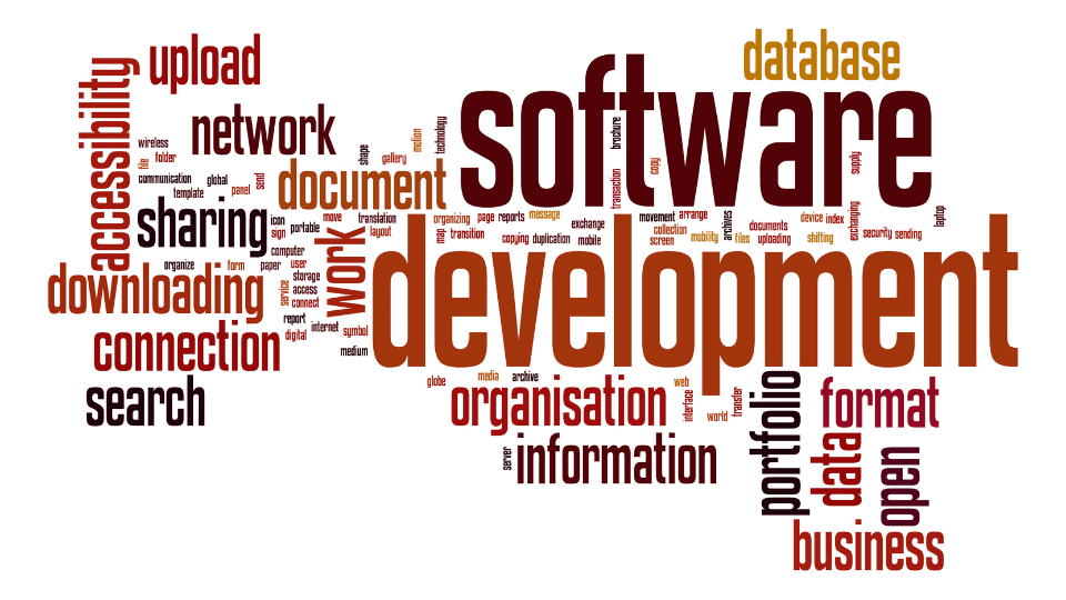 Best Custom Software Development Companies in Bangladesh In 2024
