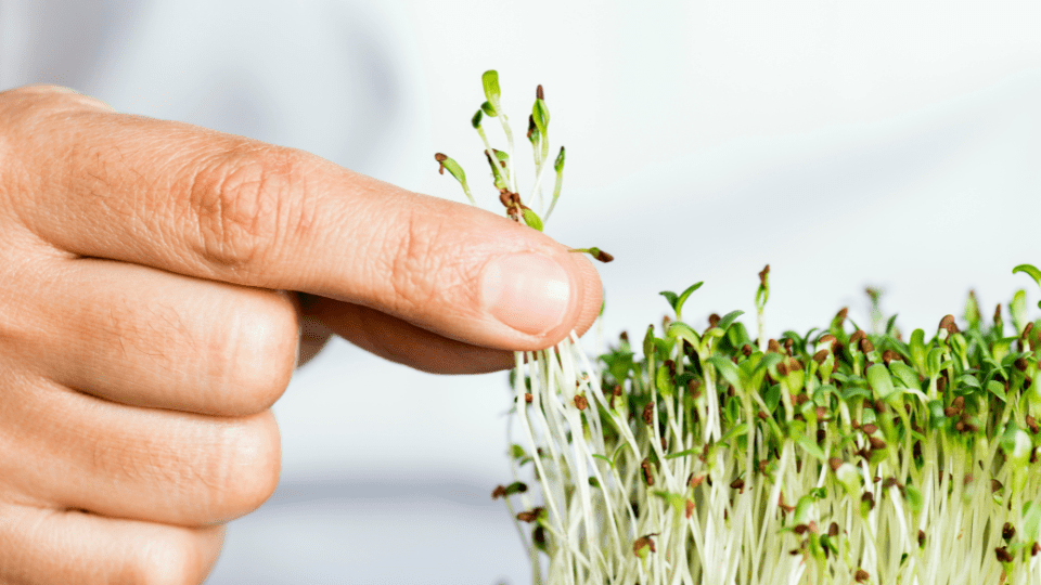 Microfinance Management: A Complete Study of Microfin360