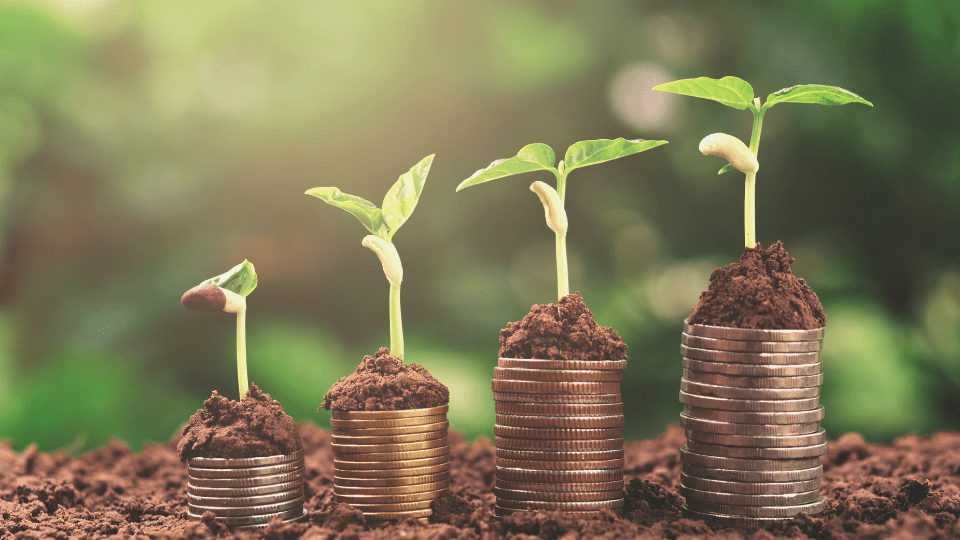 Microfin360 : Best Solution for Microfinance Management