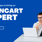 OpenCart Expert