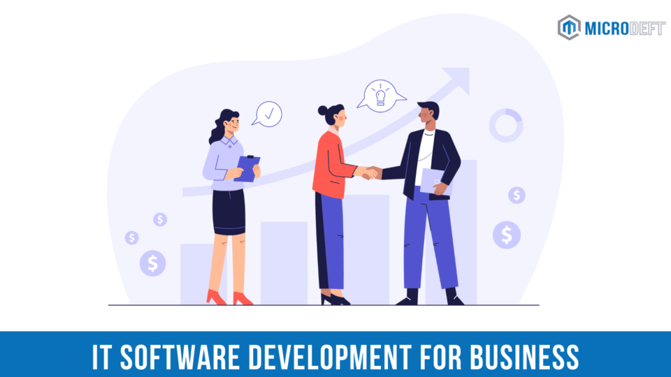 IT Software Development