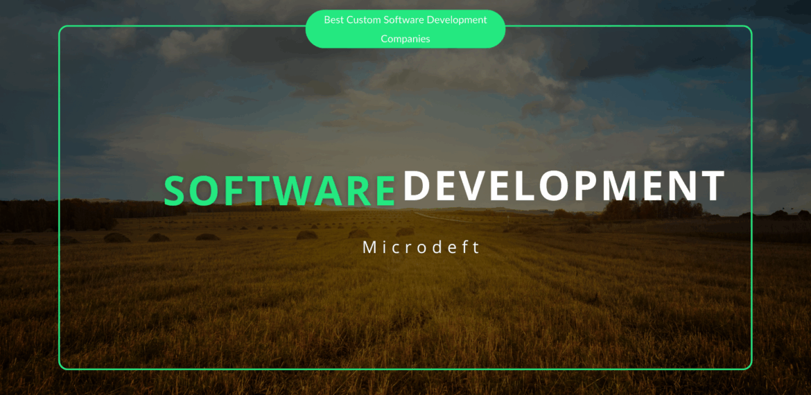 Custom Software Development