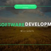 Custom Software Development